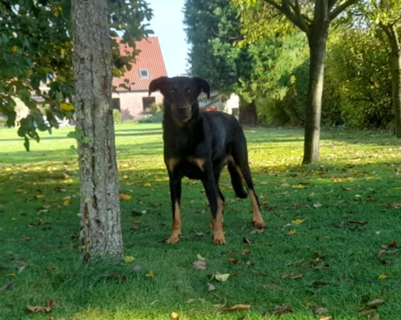 Sappho  Des gardiens des trois magots